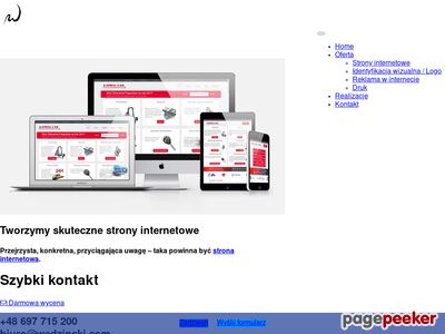 Strony internetowe w Poznaniu - Marketing internetowy